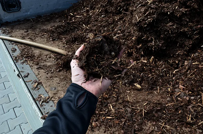 Mulching in Spokane Valley, WA