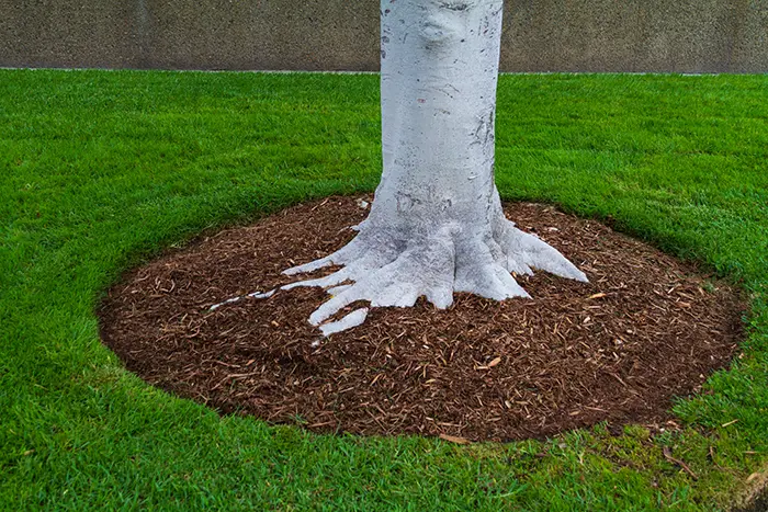 Mulching in Spokane Valley, WA