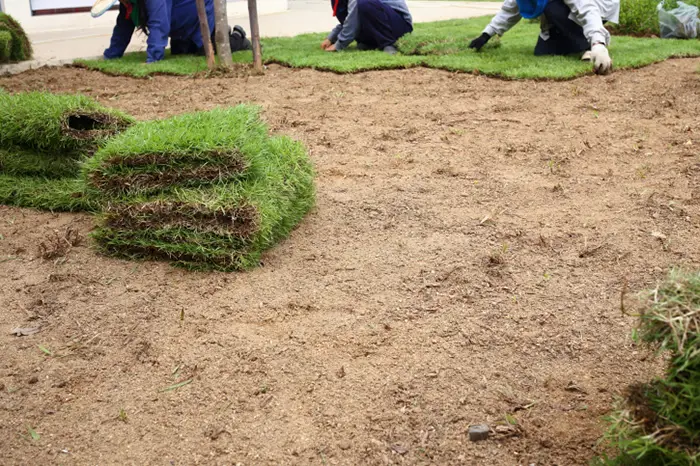 Sod Installation  in Spokane Valley, WA