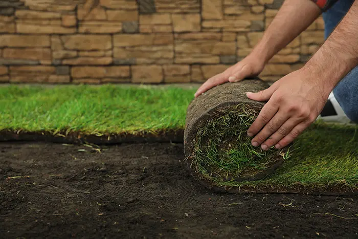 Sod Installation  in Spokane Valley, WA