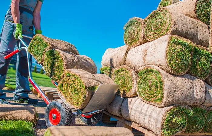 Sod Installation  in Spokane Valley, WA