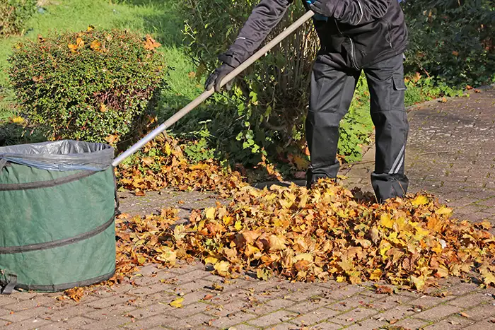 Yard Cleanup in Spokane Valley, WA