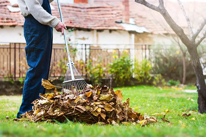 Yard Cleanup in Spokane Valley, WA