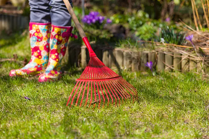 Yard Cleanup in Spokane Valley, WA